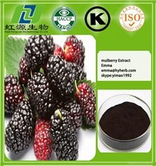  mulberry fruit extract for dietary supplement 
