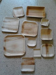 Natural Areca Leaf Plates