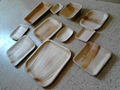 Natural Areca Leaf Plates 5