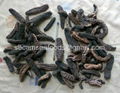 Dry Sea cucumber for sale  1