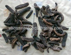 Dry Sea cucumber for sale 