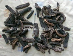 Dry Sea cucumber for sale