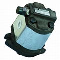 Hydraulic External Gear Pump- PB Series 1