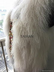 Women's mongolian fur slim fit vest with coin beads trimming 