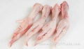 Processed Chicken Feet 1