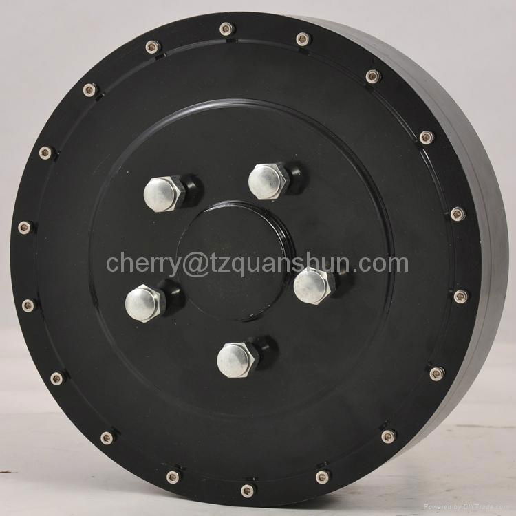 Electric Car Hub Motor 4000w QS Motor