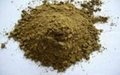 Fish Feed for Animal Fodder with Lowest