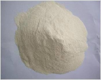 Rice Protein for Feed with Lowest Price and Good Quality