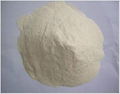 Rice Protein for Feed with Lowest Price