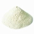Rice Protein for Feed with Lowest Price and Good Quality 3