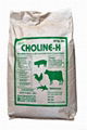 choline