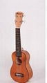 hot selling 2015 popular Rosewood ukulele HSM15