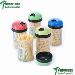 Bamboo Toothpicks