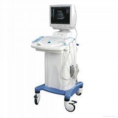 Ultrasound apparatus