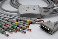 Ecg cable