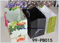 Deluxe paper shopping bags