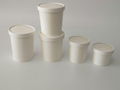 Disposable soup cup with lid