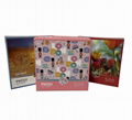 2D jigsaw puzzle 500pcs/2000pcs 16