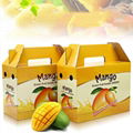 Fruit packaging box with handle 1