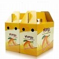 Fruit packaging box with handle 2