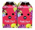 Fruit packaging box with handle 9