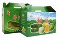 Fruit packaging box with handle 11