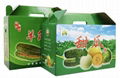 Fruit packaging box with handle