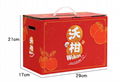 Fruit packaging box with handle 14