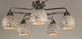 Ceramic Ceiling lamp 1