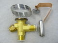 Expansion Valve