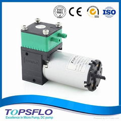 High Performance Diaphragm Pump Gas Pump DC Mini Diaphragm Air Pump