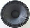 15 "professional stage audio speakers 1