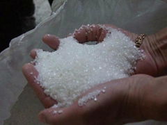 Sell Sugar (All Grades)