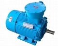 YB2 Explosion-proof  Electric Motor 1