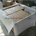 White Marble Tile for Luxury Decoration 5