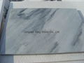 Popular white-gray marble slab with high polished surface 3
