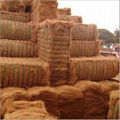 COCONUT FIBER - The best price, high quality 2