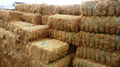 COCONUT FIBER - The best price, high quality 3