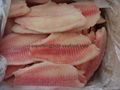 Frozen Tilapia Fillet 4