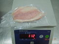 Frozen Tilapia Fillet 5