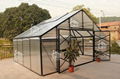 2015 New Free Shipping 5M Width Hobby Greenhouse  5