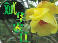 藤縣天平斌華農莊