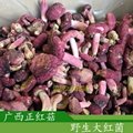 广西藤县供应野生红椎菌红菇