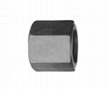 Hex High Nut 1