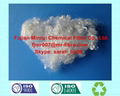 Recycled Polyester Staple Fiber HCS