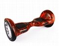 10 inch electric scooter 2