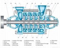 Type MD Multistage Wearable Centrifugal Pump 3