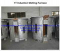 1T Medium Frequency Induction SMelting