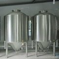 stainless steel beer fermenter for making beer 