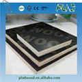 Construciton usage 18mm plastic film faced plywood prices  5